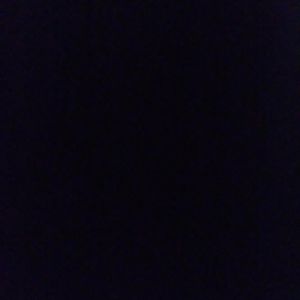 Meet your Posher, Priscilla